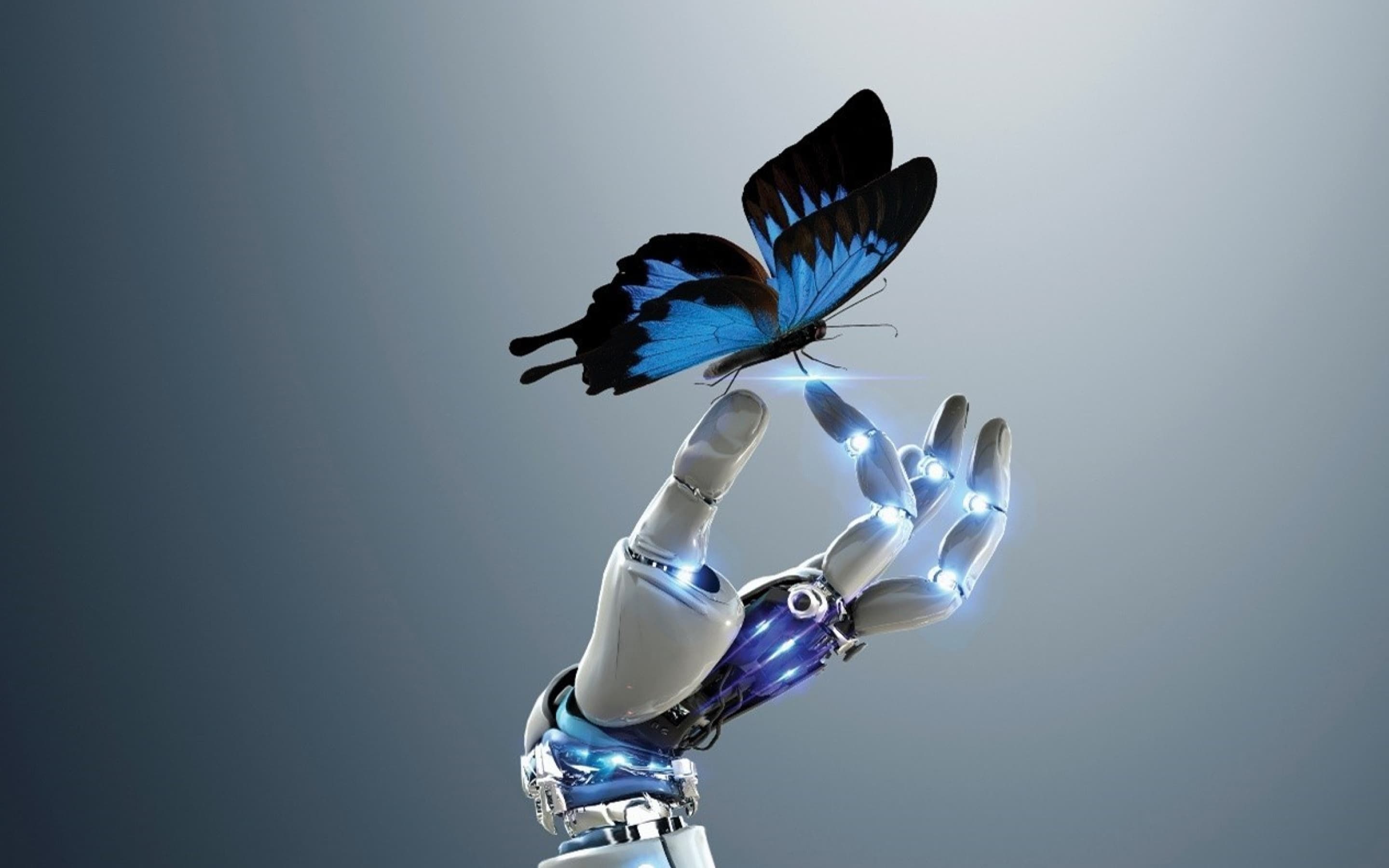 EY Law AI