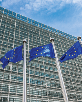 EY Law Newsflash 29 11 2024