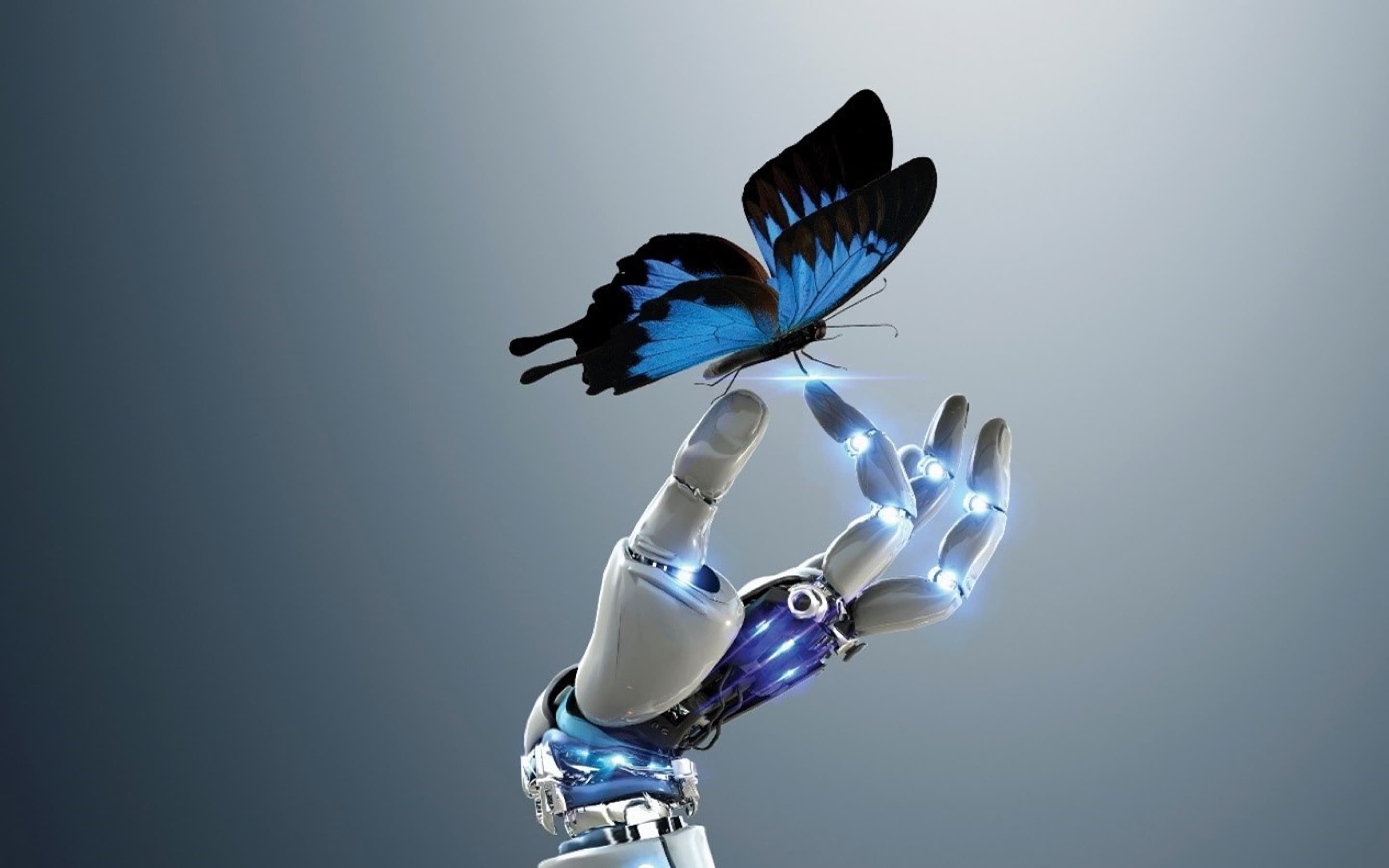 EY Law AI