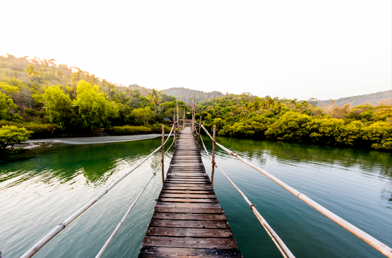 A walkway made of wooden planks over a river and leading to the jungle